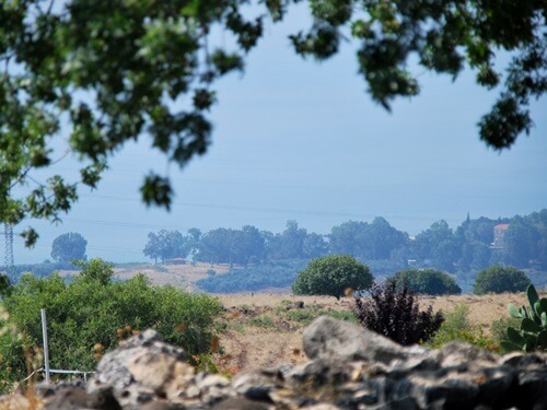 ורד הגליל- חוות סוסים